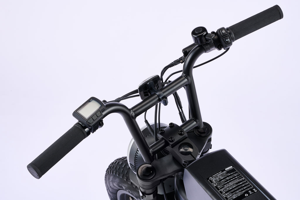 【公式】電動アシスト自転車 TRP-01 2color YADEA